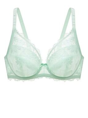 Understance Annette FlexWire Padded Plunge Lace Bra Aqua 40C